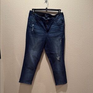 Democracy Blue Ankle Cropped Jeans with Distressed Details